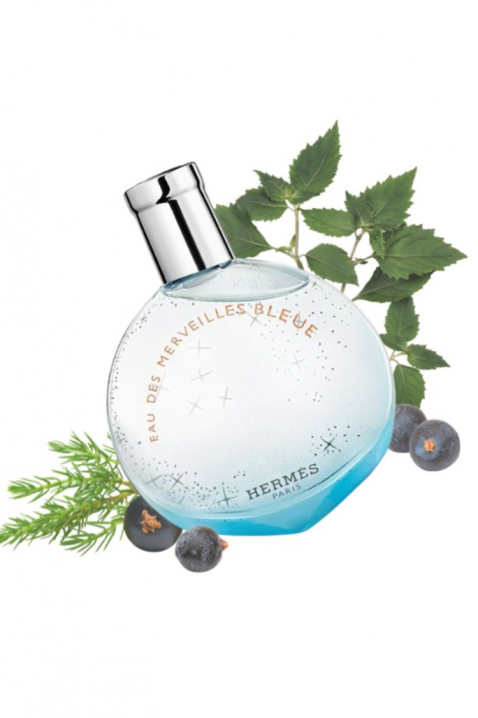 Parfem Hermes Eau Des Merveilles Bleue EDT 50 mlIVET.RS - Nova Kolekcija