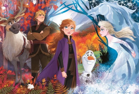 Dečiji puzzle Clementoni od 24 maksi delova - Frozen 2 (varijanta 2)IVET.RS - Nova Kolekcija