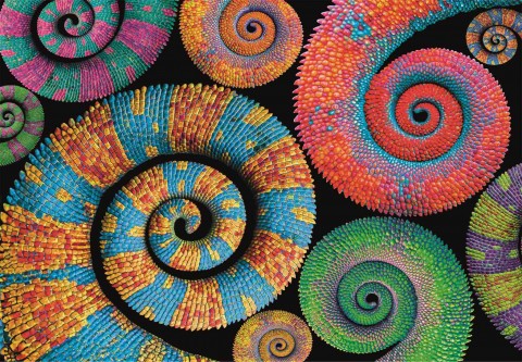 Clementoni slagalica od 500 delova - SpiralaIVET.RS - Nova Kolekcija