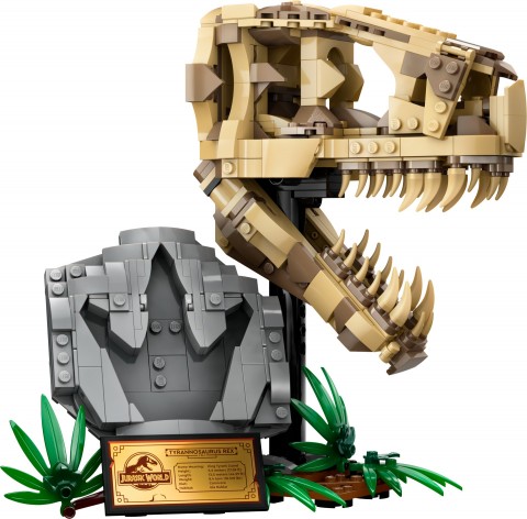 76964 | Kosturi dinosaurusa - lobanja tiranosauraIVET.RS - Nova Kolekcija