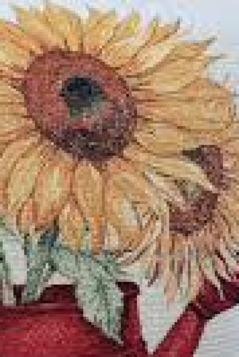 Jastučnica ZIODEXA 42х42 cm, Boja: višebojna, IVET.RS - Nova Kolekcija