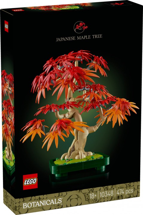 10348 – Bonsai Crveni japanski javorIVET.RS - Nova Kolekcija