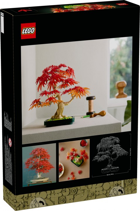 10348 – Bonsai Crveni japanski javorIVET.RS - Nova Kolekcija