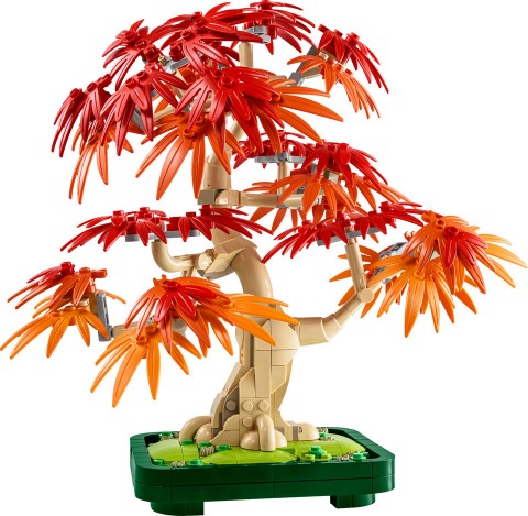 10348 – Bonsai Crveni japanski javorIVET.RS - Nova Kolekcija