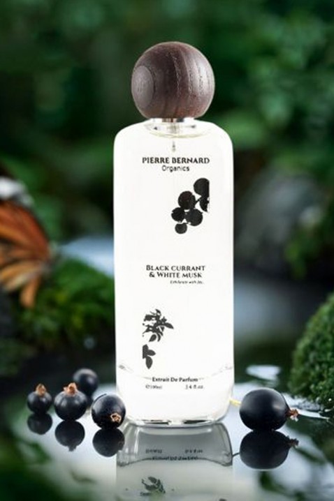 Parfem Pierre Bernard Organics Black Current& White Musk EDP 100 mlIVET.RS - Nova Kolekcija