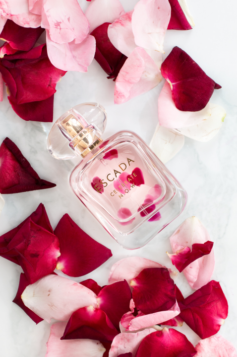 Parfem Escada Celebrate Now EDP 80 mlIVET.RS - Nova Kolekcija