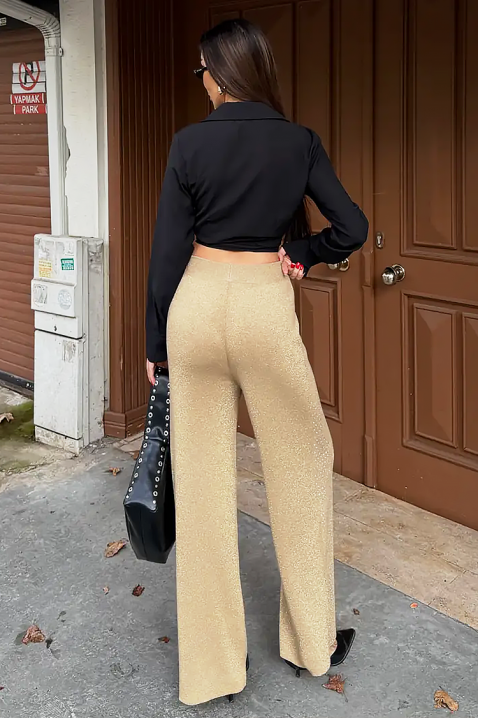 Pantalone DAVERDA BEIGE, Boja: bež, IVET.RS - Nova Kolekcija