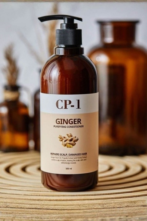 Esthetic House CP-1 Ginger Purifying Shampoo 500 mlIVET.RS - Nova Kolekcija